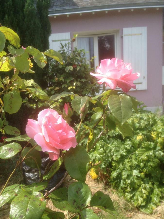 Bed and Breakfast Hon-Ty Groix Esterno foto